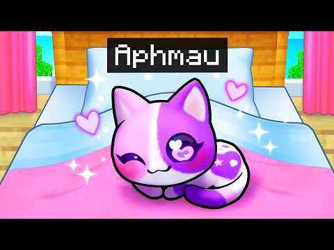 Becoming a BABY KITTEN in Minecraft!