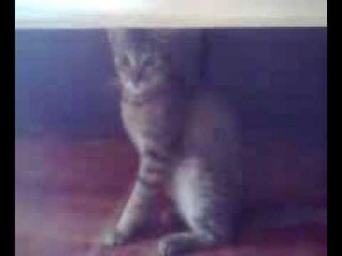 Maningning hottest scene