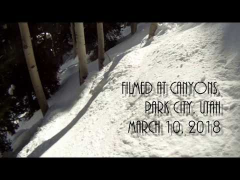 A short peek at Condor Woods