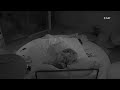 Big Brother Ανχελίτα και Παναγιώτης απολαύανουν το Captains Room 2