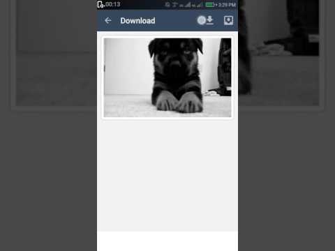 Downloader for Tumblr Video