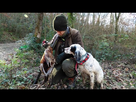 Tracciare, Addestrare e Condividere con Benelli Caddy l'innovativo Radiocollare Tutorial 167