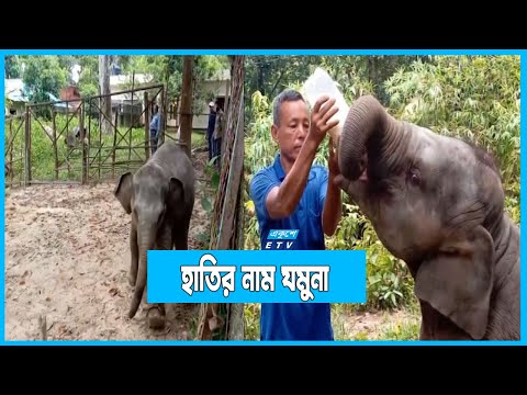 যমুনাকে দেখতে দর্শনার্থীদের ভীড় জমে সাফারি পার্কে