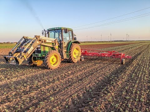 Striegeln gegen Unkraut | Einböck | John Deere | Winterweizen & Körnererbsen