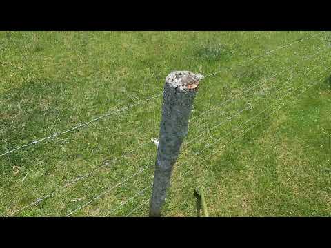 stihl fs 131 trimming fence lines and trees