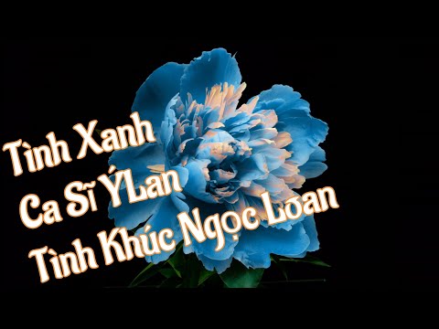 Tình xanh - Ý Lan