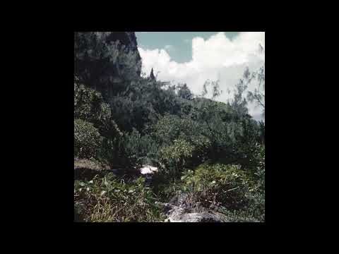Celer - Alcoves (Full Album)