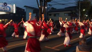 Yosakoi festival, Saitama, Japan