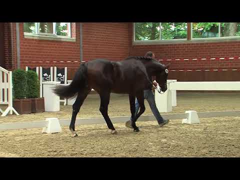 057 020 Contendro ll Lux