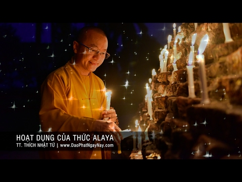 Thành Duy Thức Luận (2008) - Phần 11: Hoạt dụng của thức Alaya
