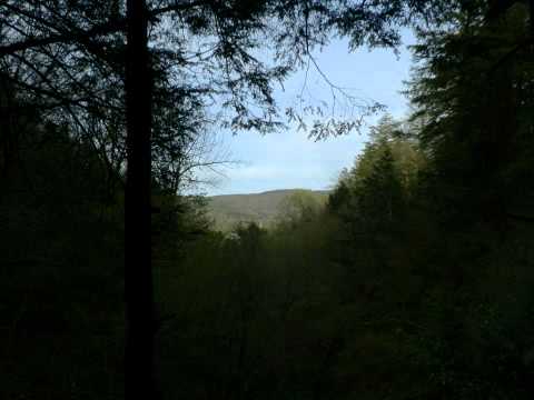 Photo Album 2012 05 05