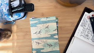 4.5 Years and It Arrived! Hippo Noto.