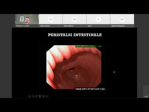 19a Istologia Muscolo Liscio