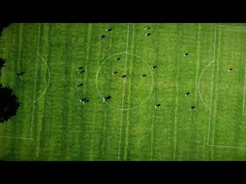 Racibórz Ocice - Grzegorzowice sparing