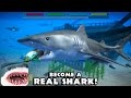 Ultimate Shark Simulator By Gluten Free Games Simulation ITunes Google Play