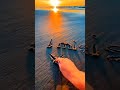 Meri Zindagi Hai Tu Lounge Flip Shorts Video Please Subscribe My Channel
