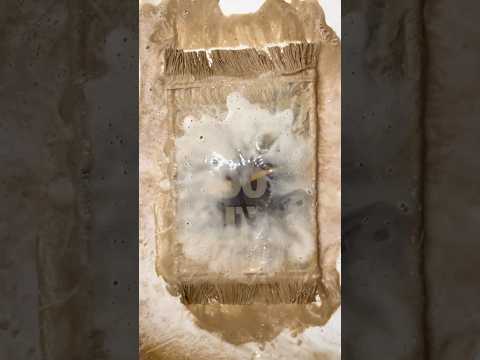 Wait for the final result! | Would you believe this rug can be cleaned? 🤯