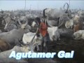 Agutamer Gai from Aliab