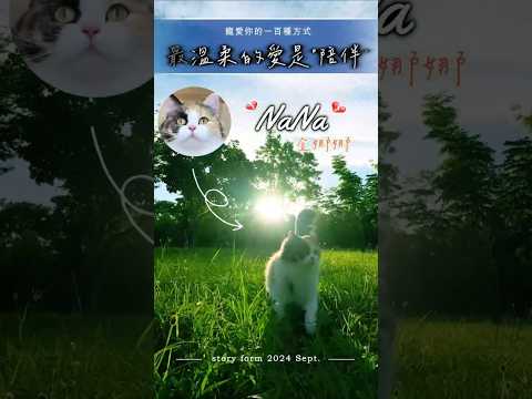 最溫柔的愛是陪伴-第二屆金腳印獎『毛孩鏡勾追』活動