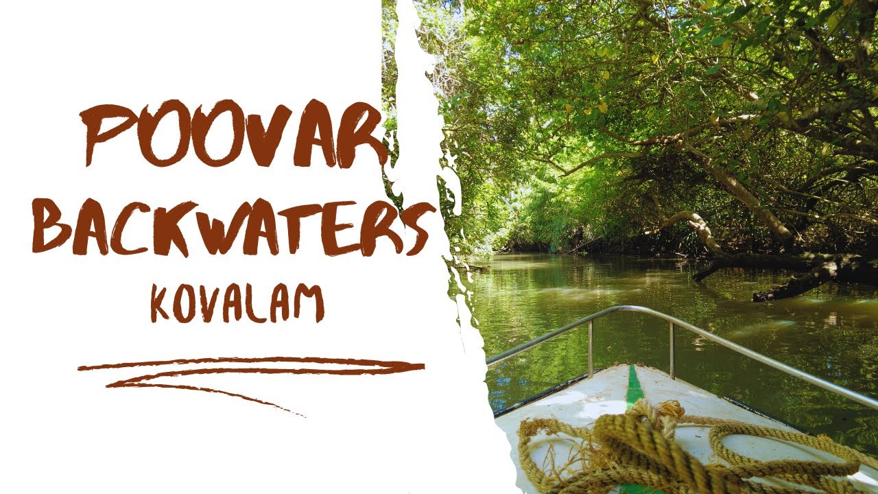 Kerala’s HIDDEN GEM: Boat Trip Through Secret Backwaters (Poovar!) Kovalam