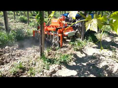 Ciancaglini Macchine Agricole -VIGNA 5 con SL