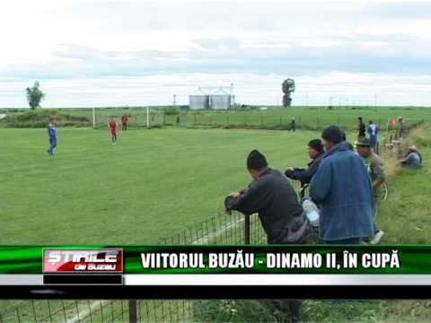 VIITORUL BUZAU    DINAMO 2