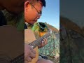 ยาม Fingerstyle