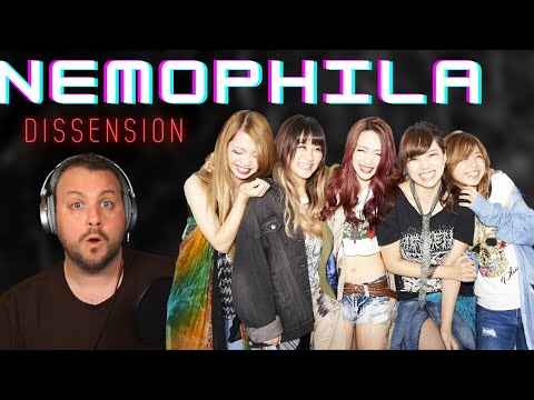 NEMOPHILA DISSENSION Reaction | Nemophila First Time Hearing Reaction