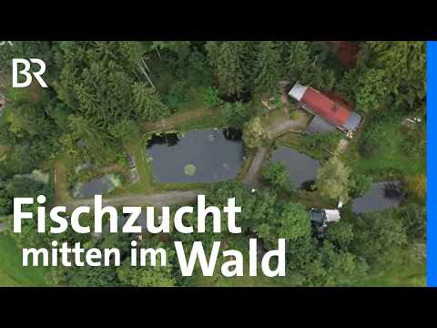 Fischzucht und Kräuter: So verwirklichen Sie Ihren Traum im Spessart und Karwendel