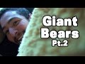 Giant Bears Pt2 