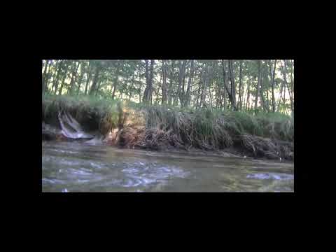 Alter Ego - Alter Ego - Až hvězdy spadnou