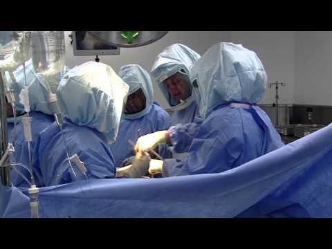 Dr. Thomas L. Bernasek, M.D. - Florida Orthopaedic Institute, Thigh, Knee & Leg, Hip Arthroplasty