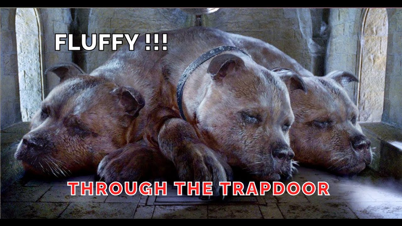 Harry Potter and the Philosopher's Stone - Chapter 16 (audio)