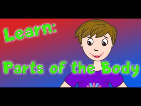 Learn: Body