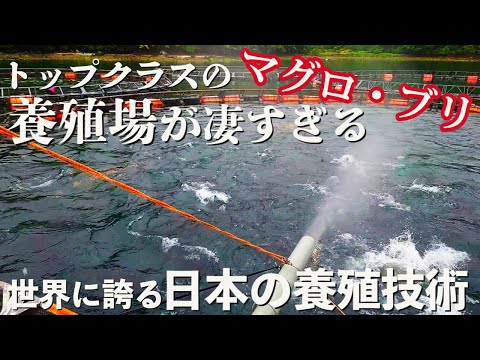 乱獲: 水産養殖は解決策ではない