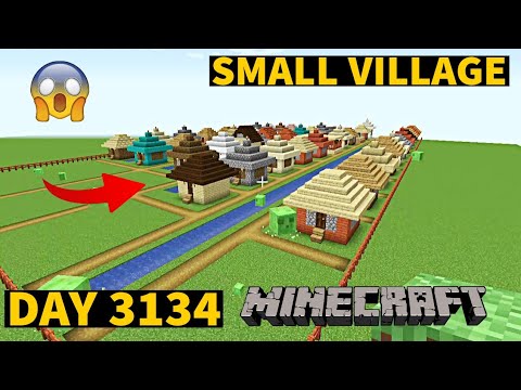 Insane Minecraft Build: Small Village in 3134 Days