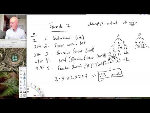 Lesson32 Nested Designs