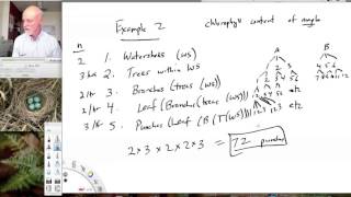 Lesson32 Nested Designs