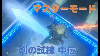【ゼルダの伝説】マスターモード 剣の試練 中位クリア