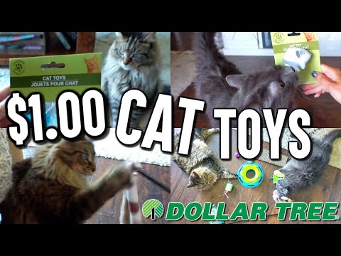 BEST DOLLAR TREE CAT TOYS!! MY CATS TEST $1 CAT TOYS