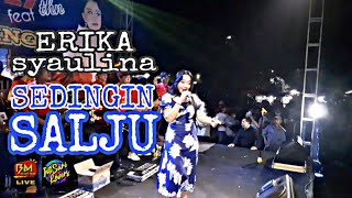 Download lagu Erika Syaulina - Sedingin Salju | Live Stage mp3