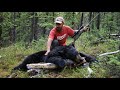 Grizzly Black Bear Harvest Bear Baiting In Alaska