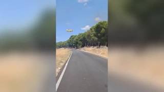 Un vasto incendio è divampato in località Bosco Pantano