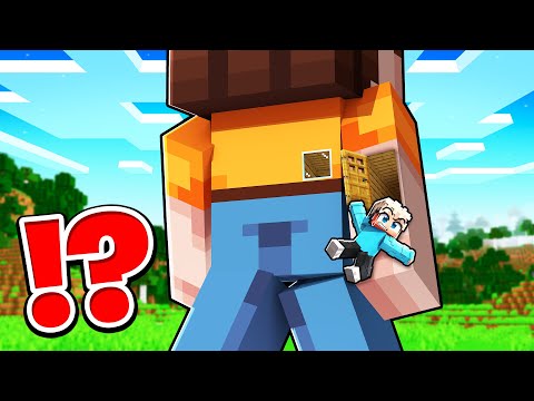 Wie Lumi ein HAUS in Dilly's ARM GEBAUT HAT in Minecraft!
