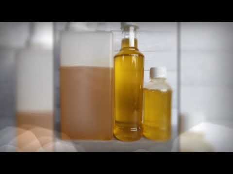 Lawan virus corona dengan madu