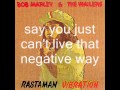 Bob marley and the wailers: positive vibration ...