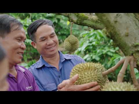 trailer-le-hoi-sau-rieng-dak-lak-nam-2026