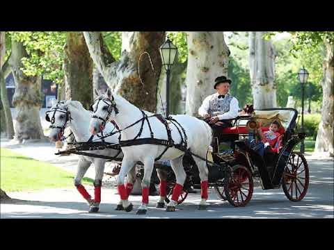 Zadnji fijaker  -   Viki Glovacki (Glowatzky)