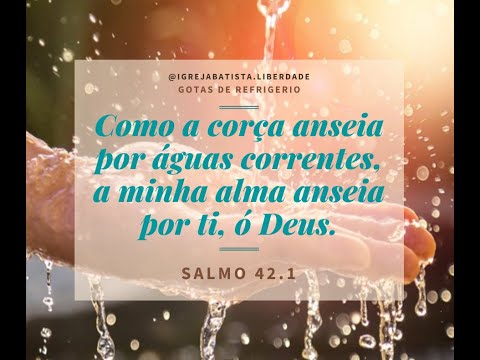 Devocional Gotas de Refrigério | Dia 14 – Salmos 42:1 | Pastor Pablo Leonardo – IBL