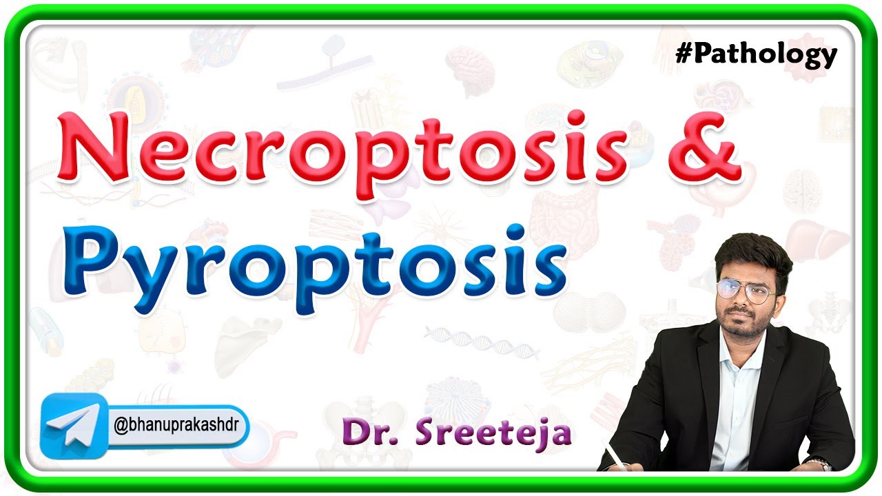 4. Necroptosis And Pyroptosis : USMLE Step 1